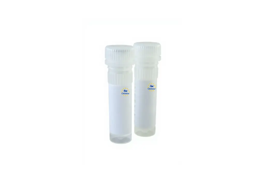  taq dna polymerase 1000 units 5u l