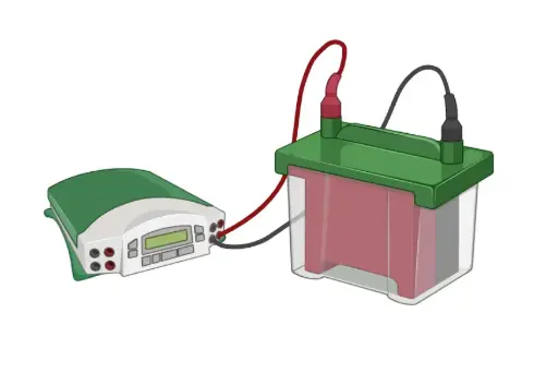[ML-WB-14] TOXOCARA Western Blot IgG